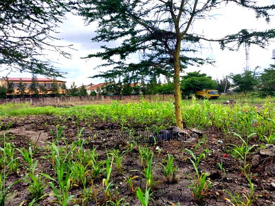 Commercial Land for Sale in South B - Image 5