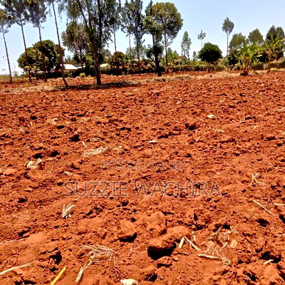 50*100 Plots for Sale at Mwea in Kirinyaga County - Image 8