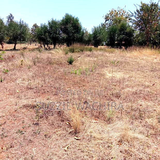 50*100 Plots for Sale at Mwea in Kirinyaga County