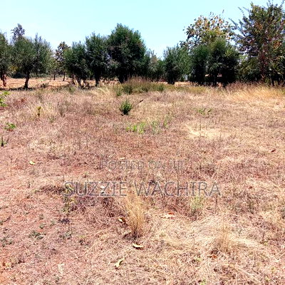 50*100 Plots for Sale at Mwea in Kirinyaga County - Image 4
