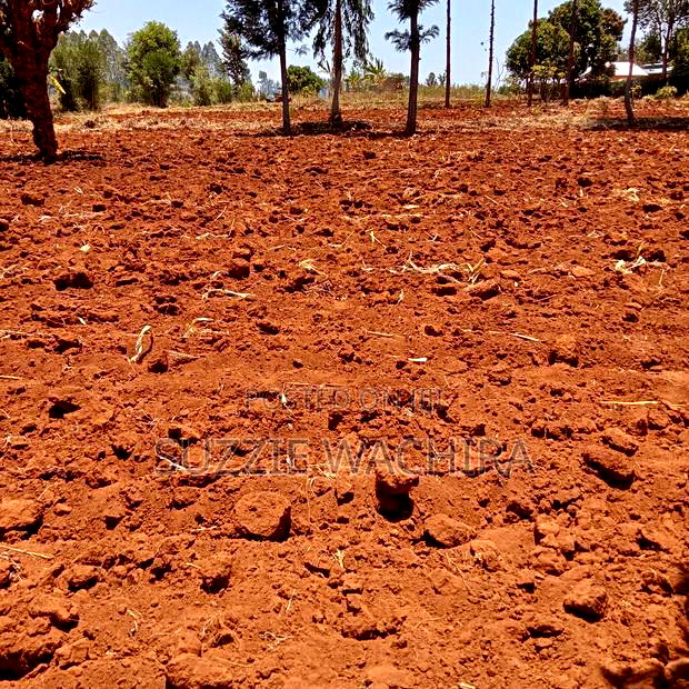 50*100 Plots for Sale at Mwea in Kirinyaga County