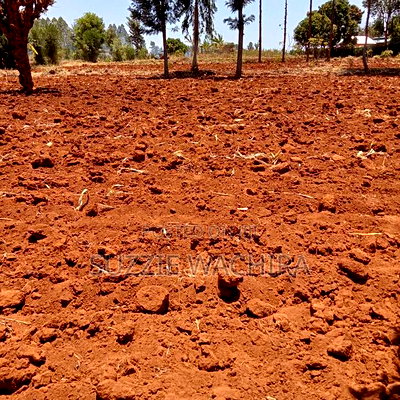 50*100 Plots for Sale at Mwea in Kirinyaga County - Image 1