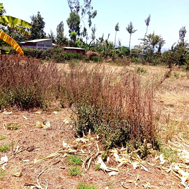 50*100 Plots for Sale at Mwea in Kirinyaga County
