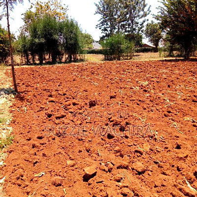 50*100 Plots for Sale at Mwea in Kirinyaga County - Image 9