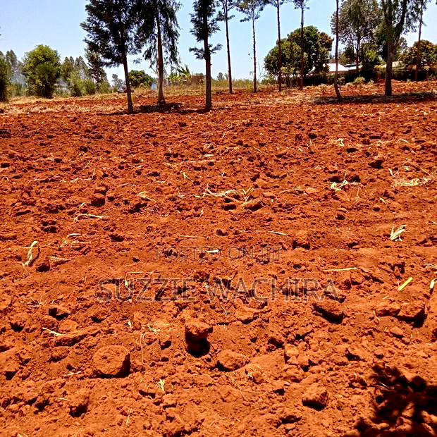 50*100 Plots for Sale at Mwea in Kirinyaga County