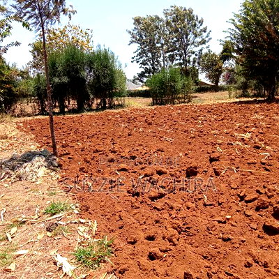 50*100 Plots for Sale at Mwea in Kirinyaga County - Image 7