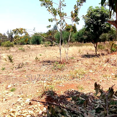 50*100 Plots for Sale at Mwea in Kirinyaga County - Image 6