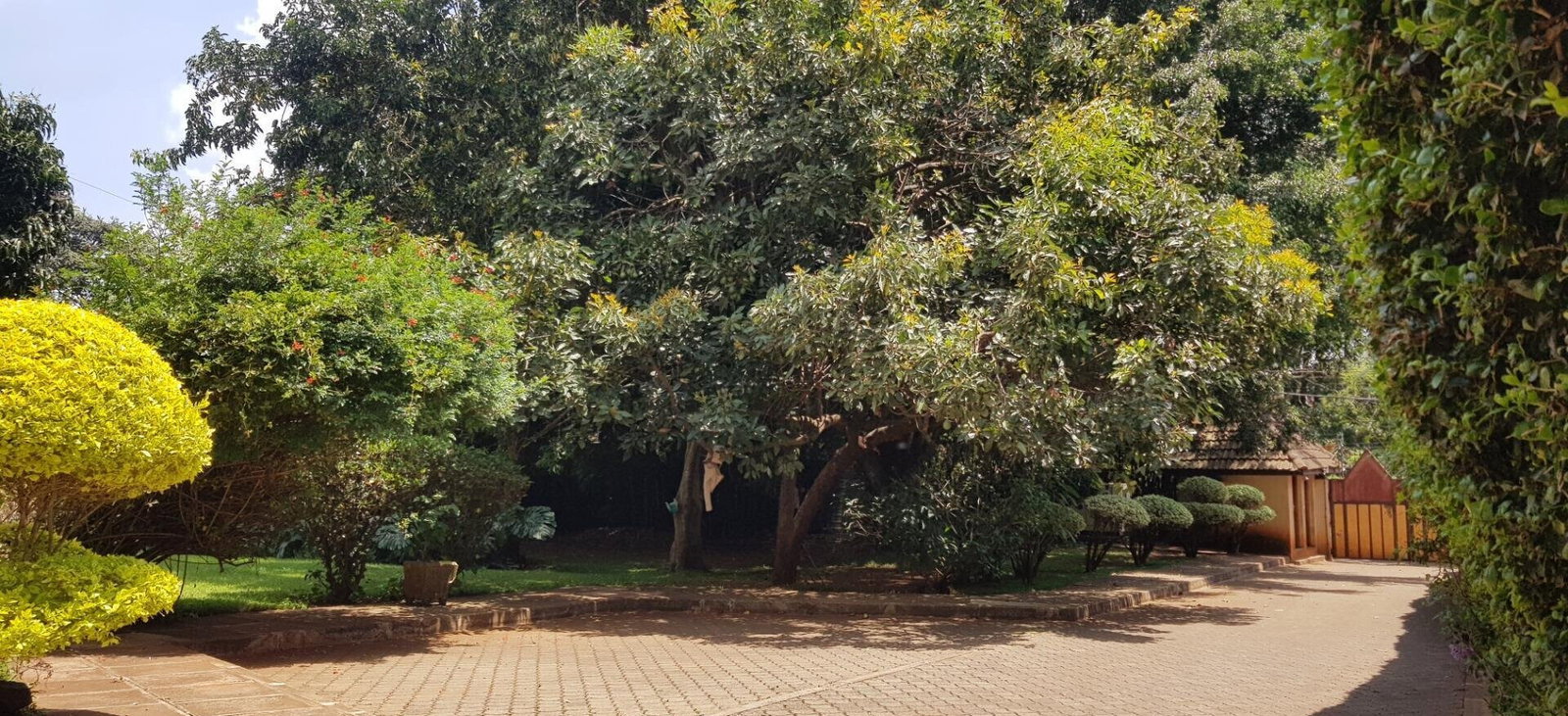 Private Guest Wing Mansion - Runda