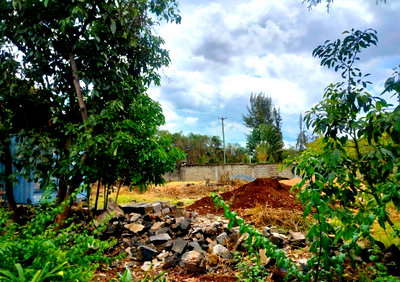 1/2 Acre Runda Plot at KSh 55M