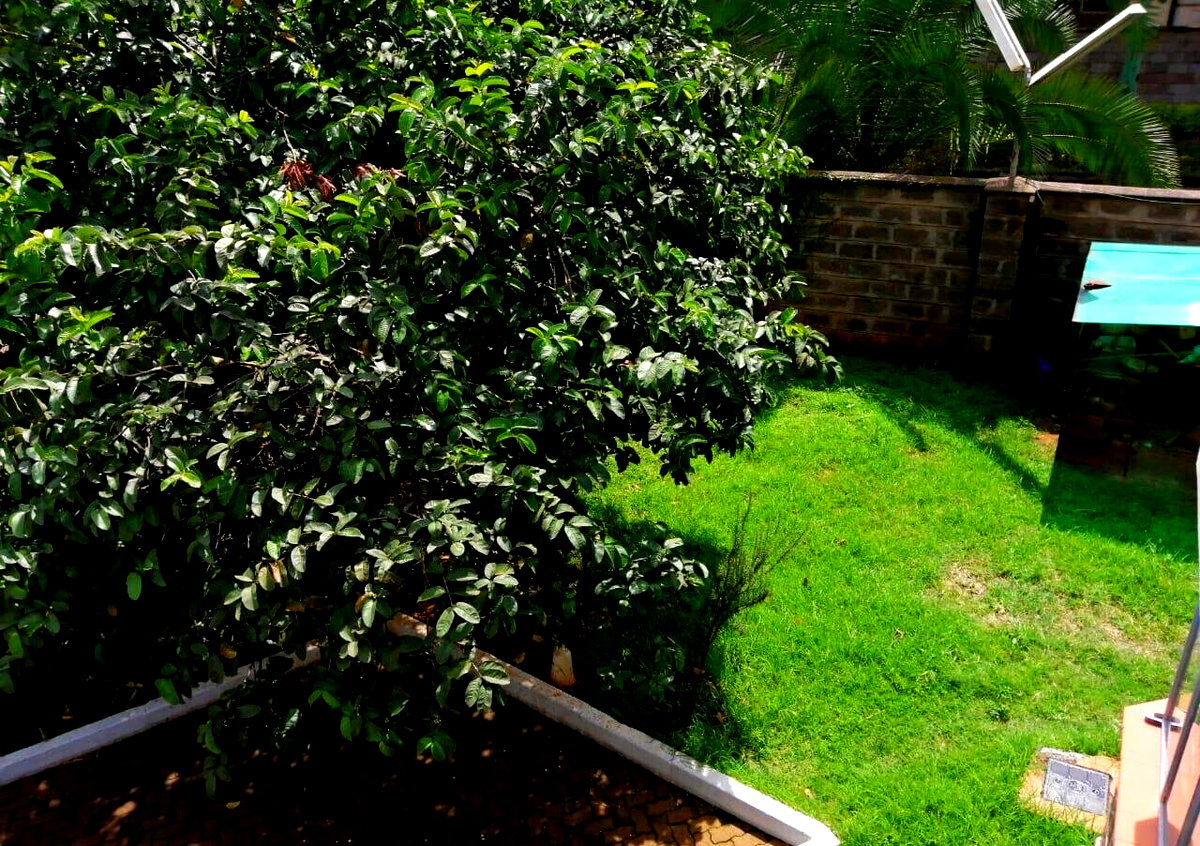 Corner Townhouse with Private Garden & DSQ - Lavington Mall