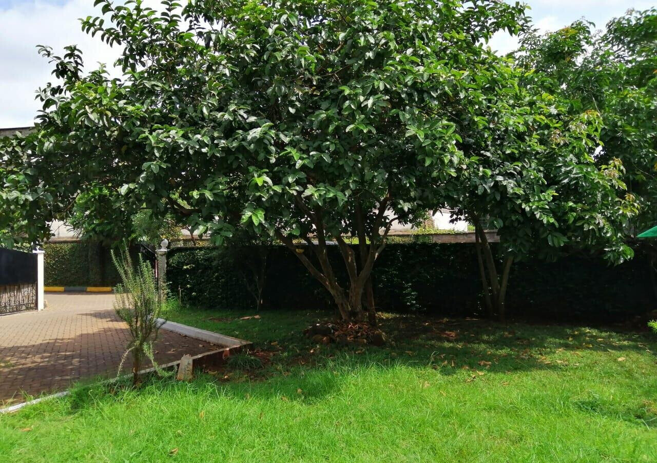 Corner Townhouse with Private Garden & DSQ - Lavington Mall