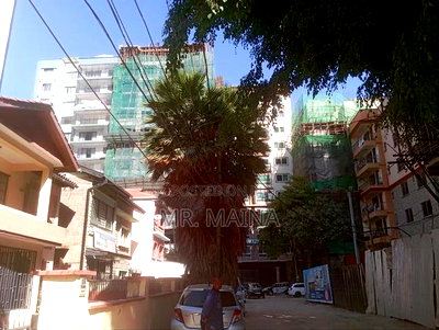 Prime 50*130 Feet South C - Image 3