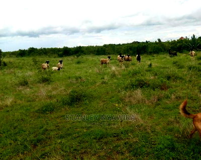 0ne Acre Nanyuki (Tetu) - Image 1