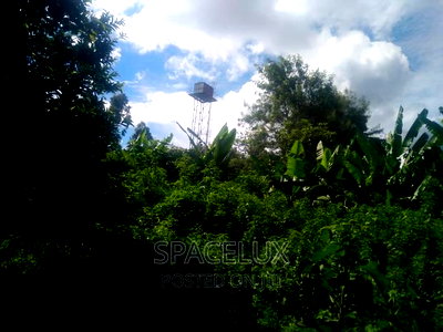 6bdrm Villa in Gigiri for sale - Image 4