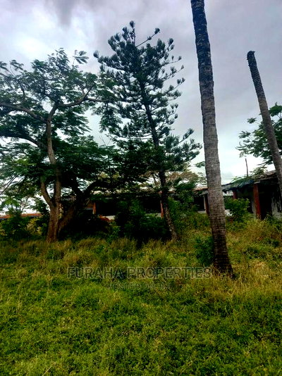 For Sale Prime 8 Acres Land Mtwapa - Image 5