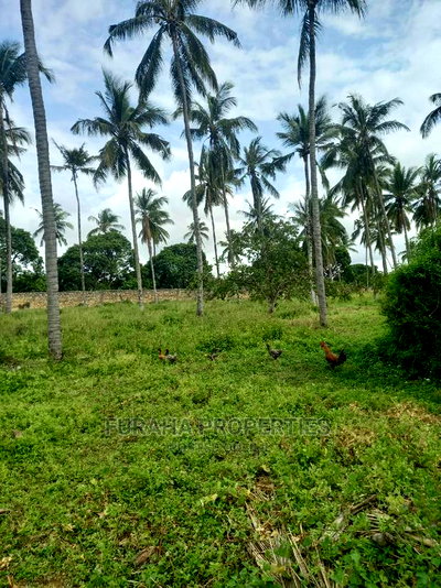 For Sale Prime 8 Acres Land Mtwapa - Image 1