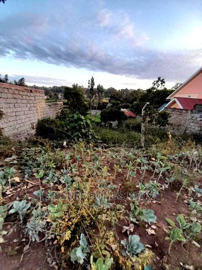 50 by 100 Residential Land - Image 1