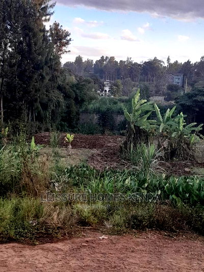 50 by 100 Residential Land - Image 7