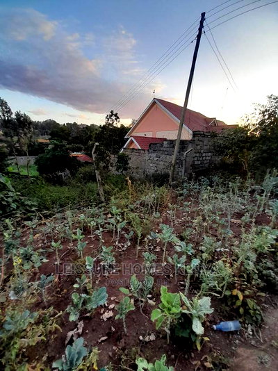 50 by 100 Residential Land - Image 11