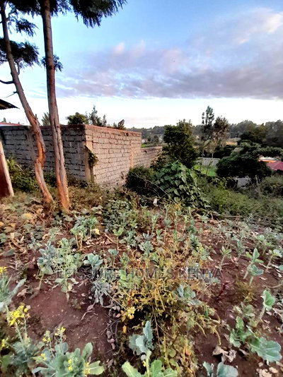 50 by 100 Residential Land - Image 6