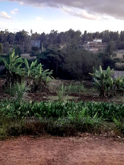 50 by 100 Residential Land - Image 8