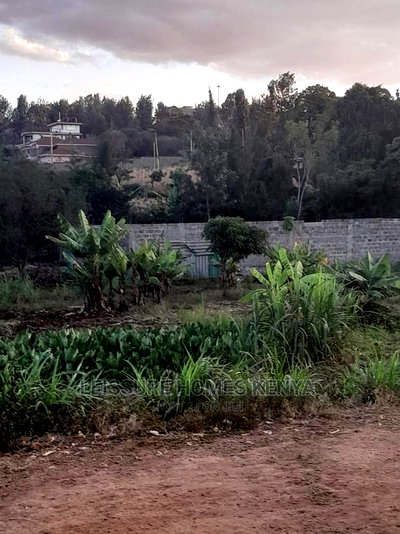 50 by 100 Residential Land - Image 13