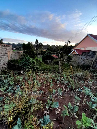 50 by 100 Residential Land - Image 12