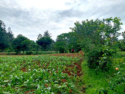3/4 of an Acre in Bungoma County - Image 5