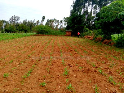 3/4 of an Acre in Bungoma County - Image 6