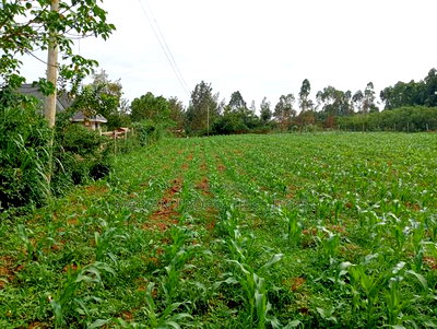 3/4 of an Acre in Bungoma County - Image 7