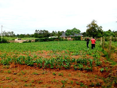 3/4 of an Acre in Bungoma County - Image 2