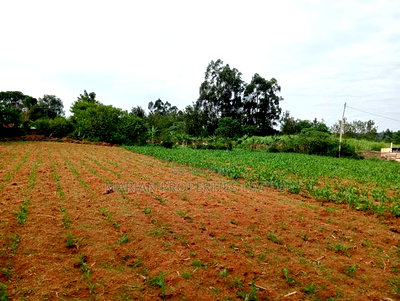 3/4 of an Acre in Bungoma County - Image 1