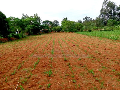 3/4 of an Acre in Bungoma County - Image 4