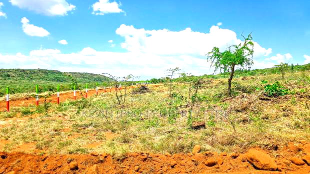 Affordable Plots in a Gated Community Concept in Nachu