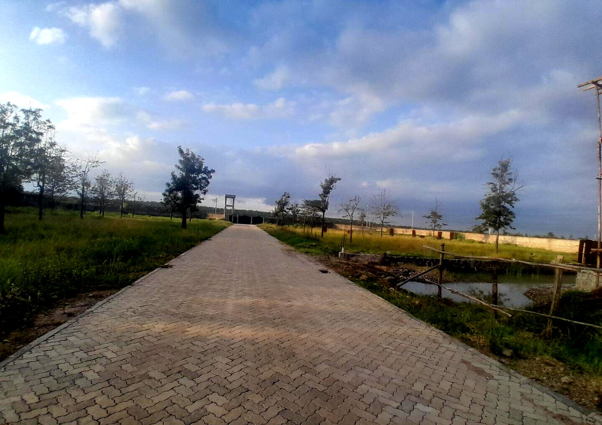 Garden Plot with Parking at 45M