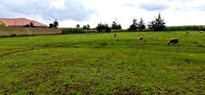 Several Plots for Sale in Kipkorgot Ekdoret - Image 3