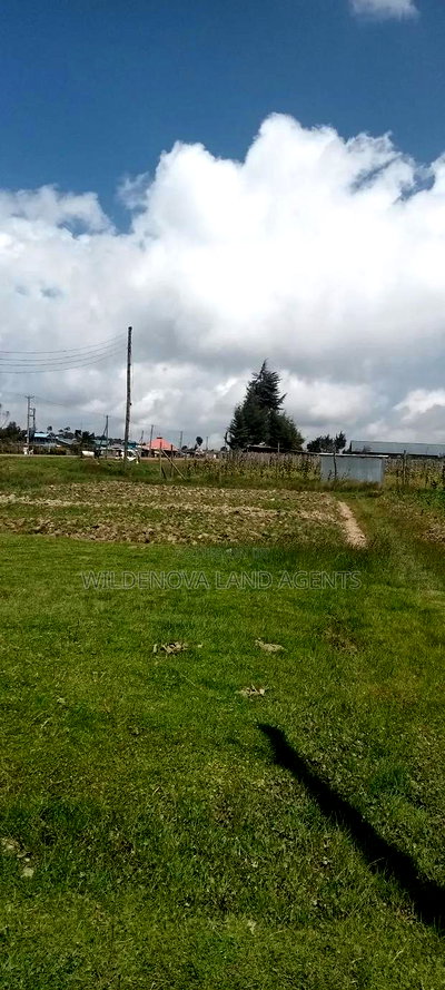 Land on Sale at Kinangop - Image 6