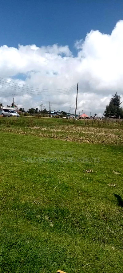 Land on Sale at Kinangop - Image 7