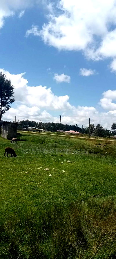 Land on Sale at Kinangop - Image 2