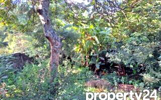 Half Acre Kitisuru Plot at KSh 50M