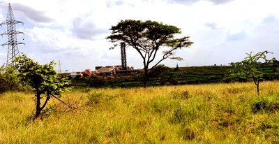 5-Acre Plot with Garden in Thika CBD