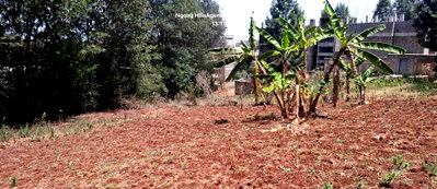 KSh 8M Commercial Plot
