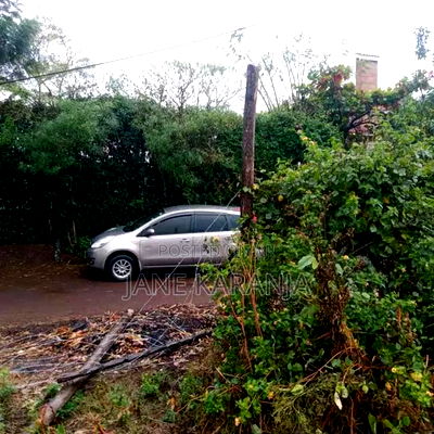 Distress Quarter Acre Ruiru Membley 12m - Image 3