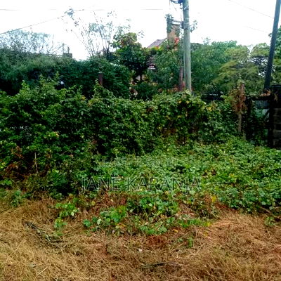 Distress Quarter Acre Ruiru Membley 12m - Image 2