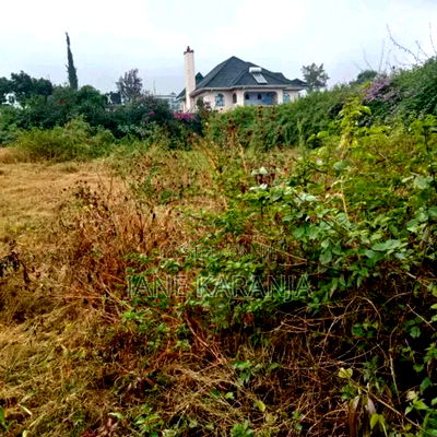 Distress Quarter Acre Ruiru Membley 12m - Image 4