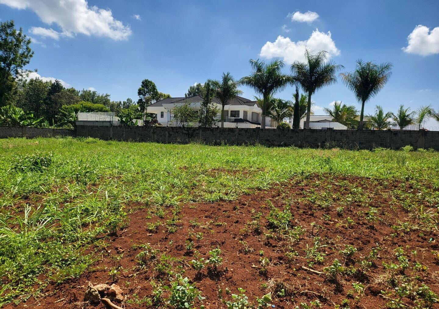 Half Acre Runda Plot at KSh 70M