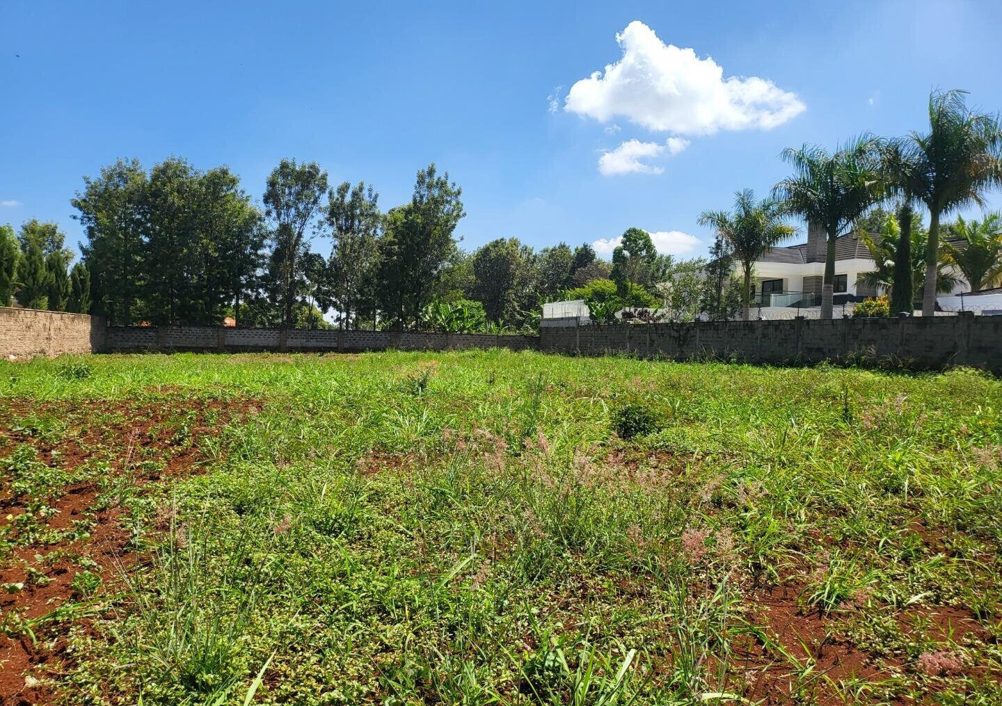 Half Acre Runda Plot at KSh 70M