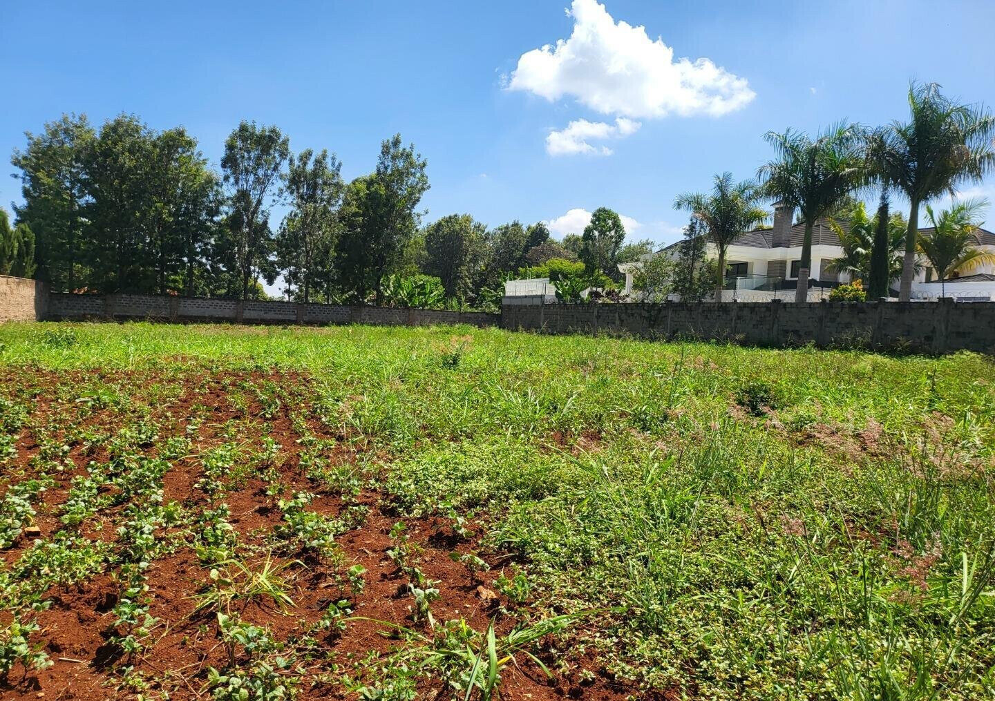 Half Acre Runda Plot at KSh 70M