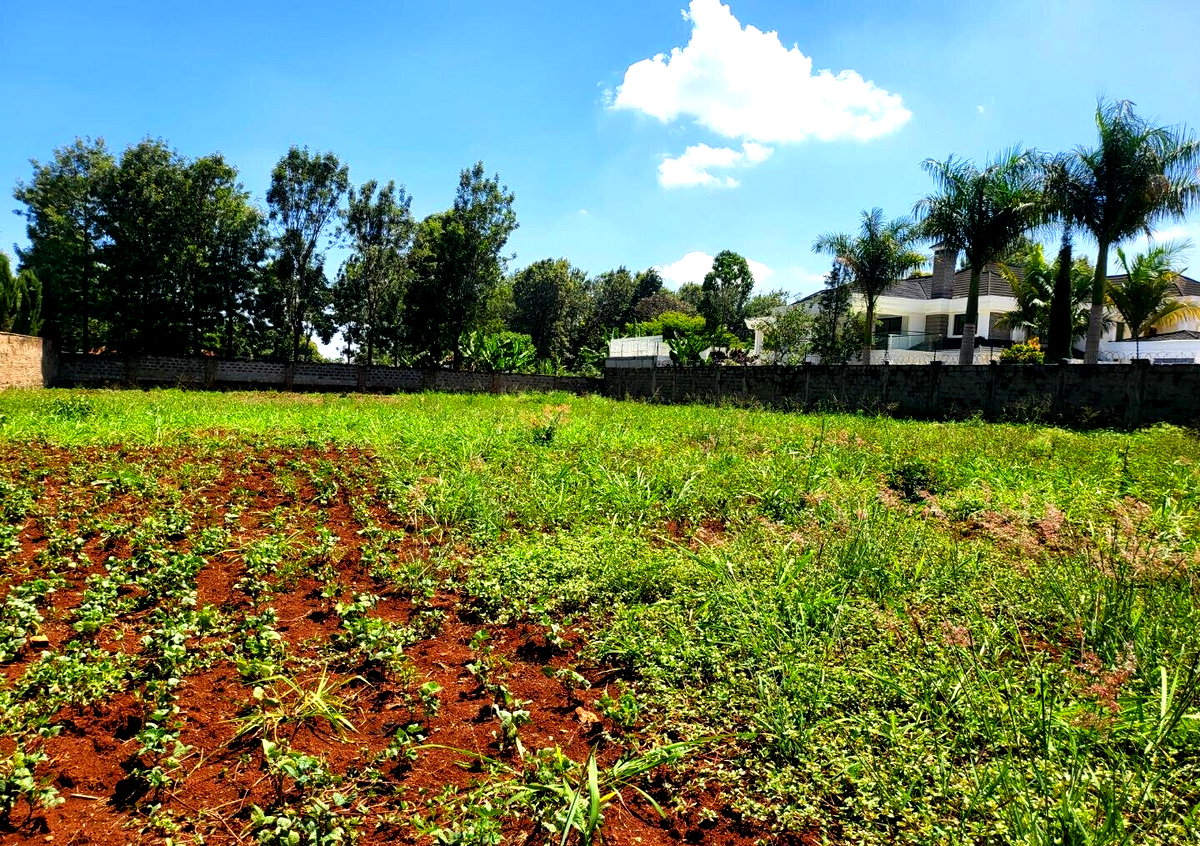 Half Acre Runda Plot at KSh 70M
