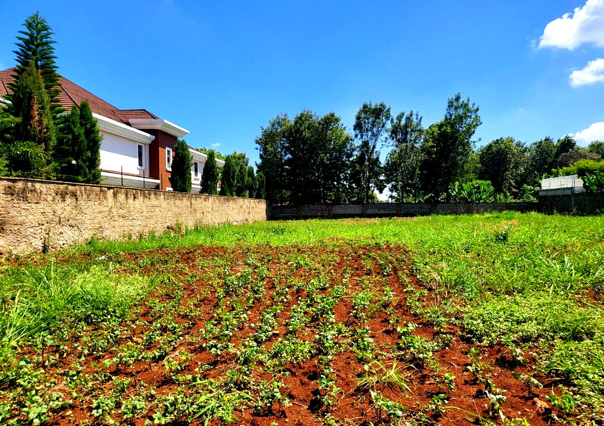 Half Acre Runda Plot at KSh 70M